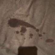 ヒメ日記 2026/03/16 14:41 投稿 奇跡のホエールウォッチング GOOD-グッド-