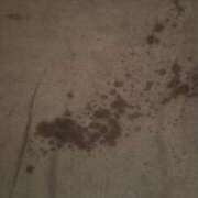 ヒメ日記 2026/03/18 01:07 投稿 奇跡のホエールウォッチング GOOD-グッド-