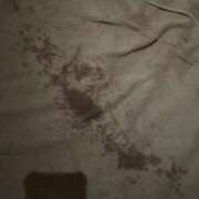 ヒメ日記 2026/03/20 23:32 投稿 奇跡のホエールウォッチング GOOD-グッド-