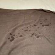 ヒメ日記 2026/03/25 18:05 投稿 奇跡のホエールウォッチング GOOD-グッド-