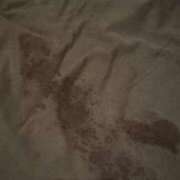 ヒメ日記 2026/03/27 04:05 投稿 奇跡のホエールウォッチング GOOD-グッド-