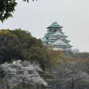 ヒメ日記 2026/03/28 18:13 投稿 奇跡のホエールウォッチング GOOD-グッド-