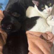 ヒメ日記 2026/04/02 23:25 投稿 奇跡のホエールウォッチング GOOD-グッド-