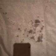 ヒメ日記 2026/04/03 14:42 投稿 奇跡のホエールウォッチング GOOD-グッド-