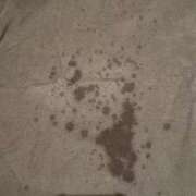 ヒメ日記 2026/04/07 15:04 投稿 奇跡のホエールウォッチング GOOD-グッド-