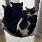 ヒメ日記 2026/04/18 13:03 投稿 奇跡のホエールウォッチング GOOD-グッド-