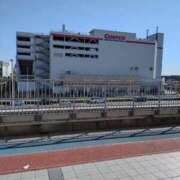 ヒメ日記 2026/01/29 13:32 投稿 ゆりこ 千葉人妻花壇