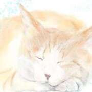 ヒメ日記 2026/02/02 19:51 投稿 もあ 水戸ソープランド　水戸スリーナイン(9990)