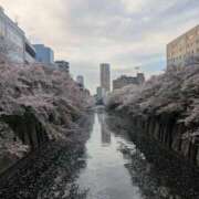 ヒメ日記 2026/04/08 10:43 投稿 夜神月 Cawaiiハイ！スクールリターンズ