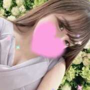 シオン はじめまして?? ラブコレクション