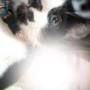 天使みる 今日も居ますよ〜🙋🏻‍♀️ Darlin Premium(ダーリンプレミアム)