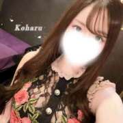 ヒメ日記 2026/03/30 09:32 投稿 こはる　甘美なオーラを放つ美女 ROYAL FACE