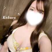 ヒメ日記 2026/03/31 09:52 投稿 こはる　甘美なオーラを放つ美女 ROYAL FACE