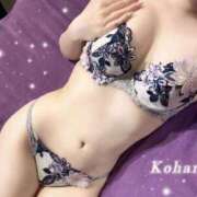 ヒメ日記 2026/06/03 10:22 投稿 こはる　甘美なオーラを放つ美女 ROYAL FACE