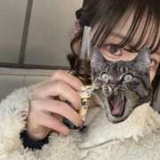 ヒメ日記 2026/02/12 21:01 投稿 ゆの いきなりまかさんかい