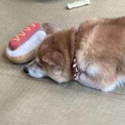 ヒメ日記 2026/03/30 22:05 投稿 つばき ミルキーラテ