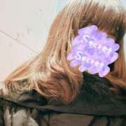 ヒメ日記 2026/01/29 11:24 投稿 西田 尚美 熟女・人妻マダム宮殿