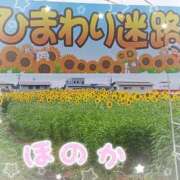 ヒメ日記 2026/07/25 14:52 投稿 ほのか 宮城♂風俗の神様 仙台店
