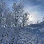 ヒメ日記 2026/02/08 08:11 投稿 香乃(かの) 可憐な妻たち 高崎店