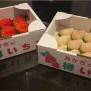 ヒメ日記 2026/02/10 16:37 投稿 香乃(かの) 可憐な妻たち 高崎店