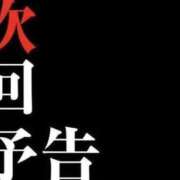 ヒメ日記 2026/02/06 20:48 投稿 ☆ことね☆ ◆プラウディア◆AAA級素人娘在籍店