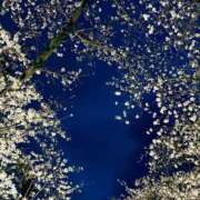 ヒメ日記 2026/03/28 18:39 投稿 環 光 東京貴楼館