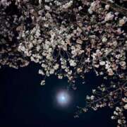 ヒメ日記 2026/03/29 00:31 投稿 環 光 横浜貴楼館