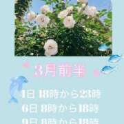 ヒメ日記 2026/02/20 10:44 投稿 ちえり ぐらどるえっぐ