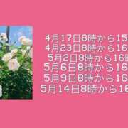 ヒメ日記 2026/04/13 14:54 投稿 ちえり ぐらどるえっぐ