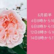 ヒメ日記 2026/05/28 12:14 投稿 ちえり ぐらどるえっぐ