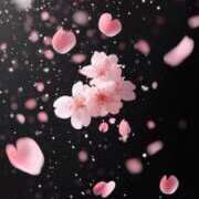 ヒメ日記 2026/03/30 12:14 投稿 玲子(れいこ) PLUS難波店