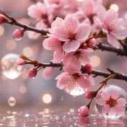 ヒメ日記 2026/04/09 11:54 投稿 玲子(れいこ) PLUS難波店