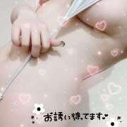 ヒメ日記 2026/02/10 18:37 投稿 こうき 風神会館新宿店