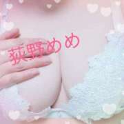 ヒメ日記 2026/02/28 12:09 投稿 荻野 めめ 30代40代50代と遊ぶなら博多人妻専科24時