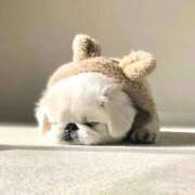 ヒメ日記 2026/02/07 22:28 投稿 りこ 花の都～人妻の都～ 延岡店