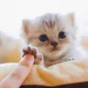 ヒメ日記 2026/02/08 19:18 投稿 りこ 花の都～人妻の都～ 延岡店