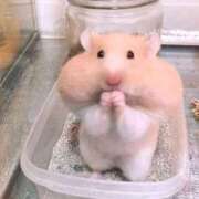 りこ 昨日のお礼です 花の都～人妻の都～ 延岡店