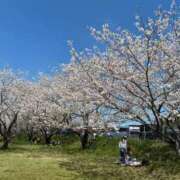 ヒメ日記 2026/04/11 20:08 投稿 りこ 花の都～人妻の都～ 延岡店