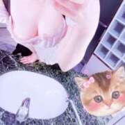 ヒメ日記 2026/05/17 12:45 投稿 ありす SEXIS-セクシーズ-