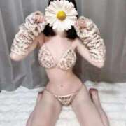 ヒメ日記 2026/01/23 00:33 投稿 こはく（元CA×プレミアム美女 ハニービー（Honey Bee）