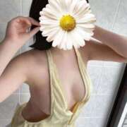 ヒメ日記 2026/02/06 14:33 投稿 こはく（元CA×プレミアム美女 ハニービー（Honey Bee）