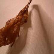 ヒメ日記 2026/01/22 20:16 投稿 えま 水戸ソープランド　水戸スリーナイン(9990)