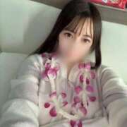 ヒメ日記 2026/02/17 00:06 投稿 あんり E+アイドルスクール