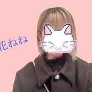 ヒメ日記 2026/01/31 23:41 投稿 音花ねね ウルトラハピネス