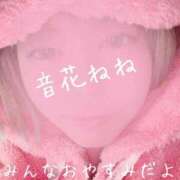 ヒメ日記 2026/02/11 06:59 投稿 音花ねね ウルトラハピネス