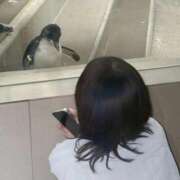 ヒメ日記 2026/01/29 19:39 投稿 桜羽いお 手コキ研修塾