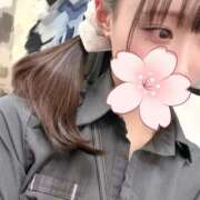 ひなこ ♪ひなこの自己紹介♪ Beauty Street