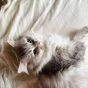 ヒメ日記 2026/01/25 12:39 投稿 もあ オズ 千葉栄町店