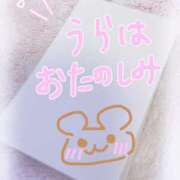 ヒメ日記 2026/03/12 15:10 投稿 くるみ MIKADO