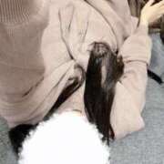 ヒメ日記 2026/02/24 00:19 投稿 のぞみ るっきんぐらぶ